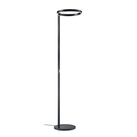 LED-golvlampa Lana svart med geststyrning