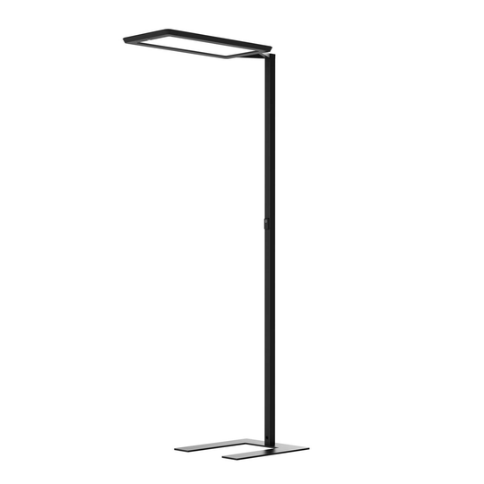LED-golvlampa Yara.single 4 000 K BT, PIR, svart