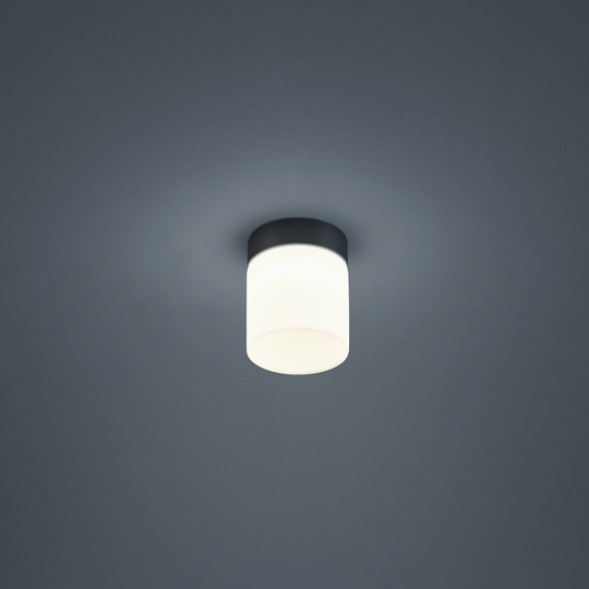 Helestra Keto LED-taklampa, rund, svart