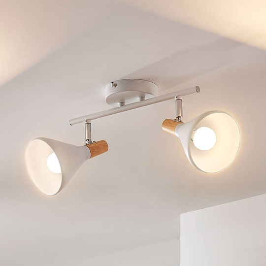 LED-taklampa Arina med 2 ljuskällor