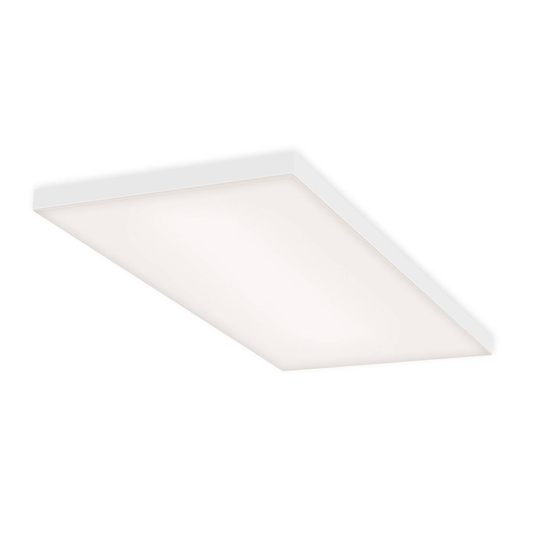 LED-taklampa Frameless RGBW, 60 x 30 cm