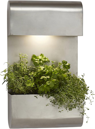 Planta Vägglampa Grå