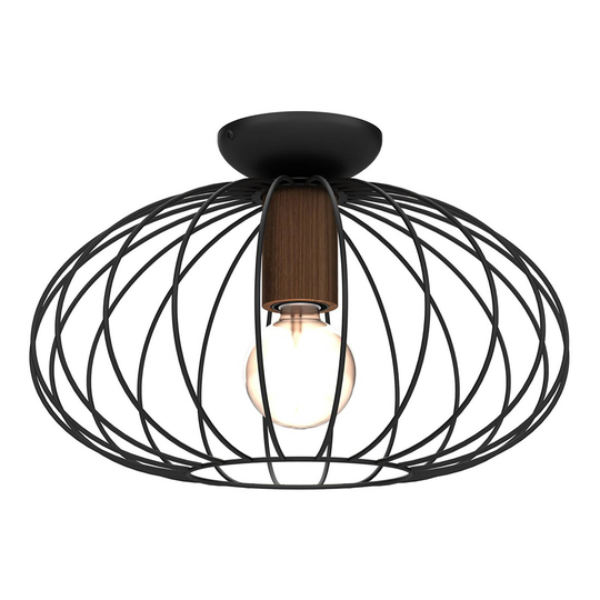 Taklampa Meridiano med burskärm, 1 lampa