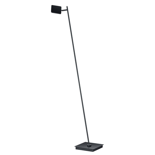 B-Leuchten Tim LED-golvlampa CCT svart