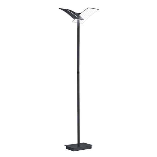 LED-golvlampa Dual av järn svart 182 cm CCT