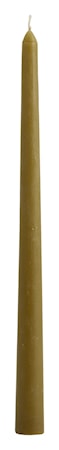 Ljus Tall Oliv