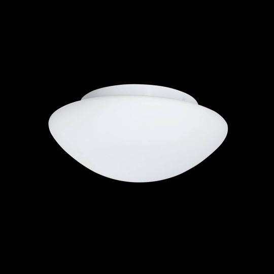 Glasutomhustaklampa Wayne 23 cm IP44